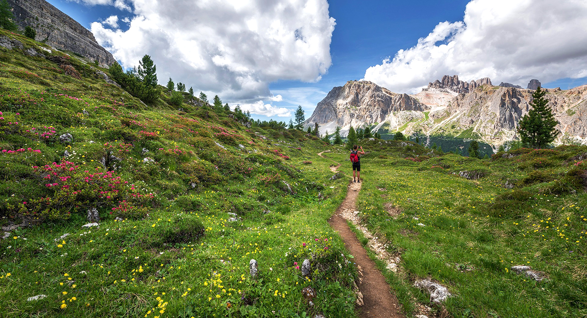 Via Alpina in the alps