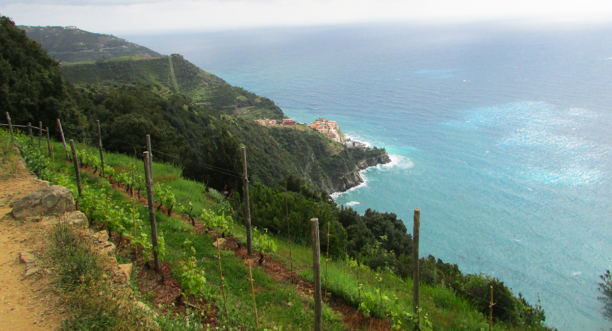 Randonnée au Cinque Terre