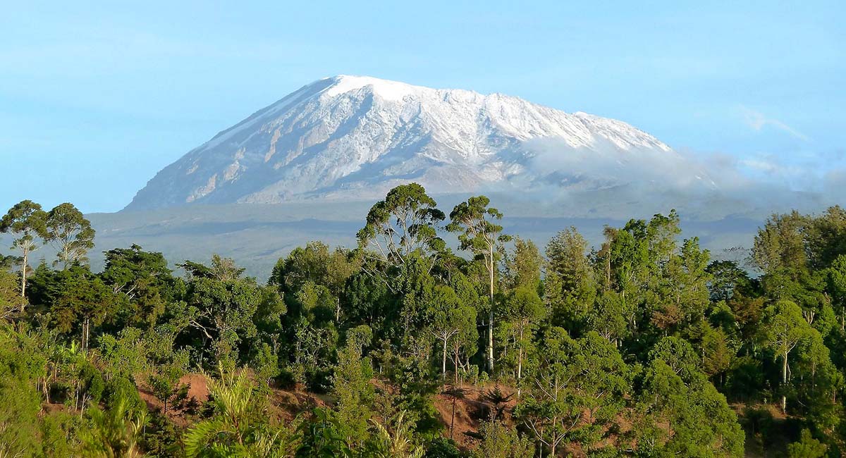 Climbing Kilimanjaro: Trek in Africa