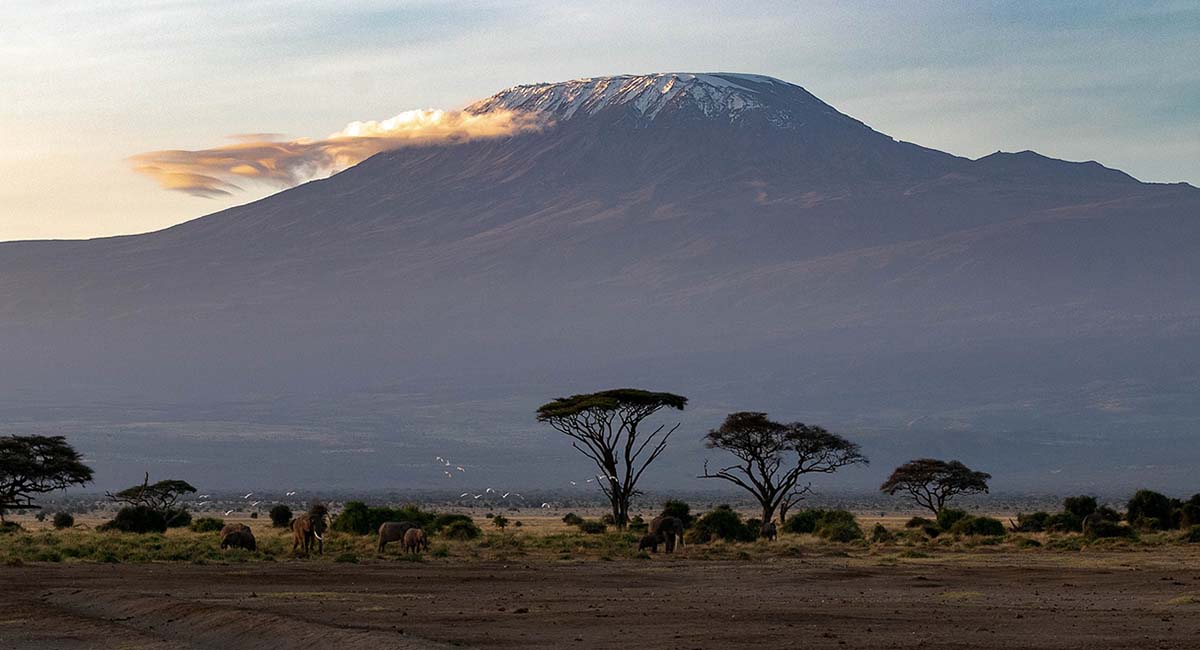 Ascension du Kilimandjaro : période
